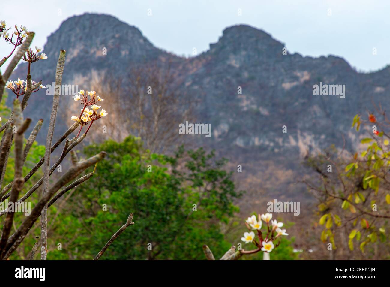 Belle vue sur la montagne à Khao i bid ou Khao e Go au district de Khao yoi, province de Phetchaburi, Thaïlande. Banque D'Images