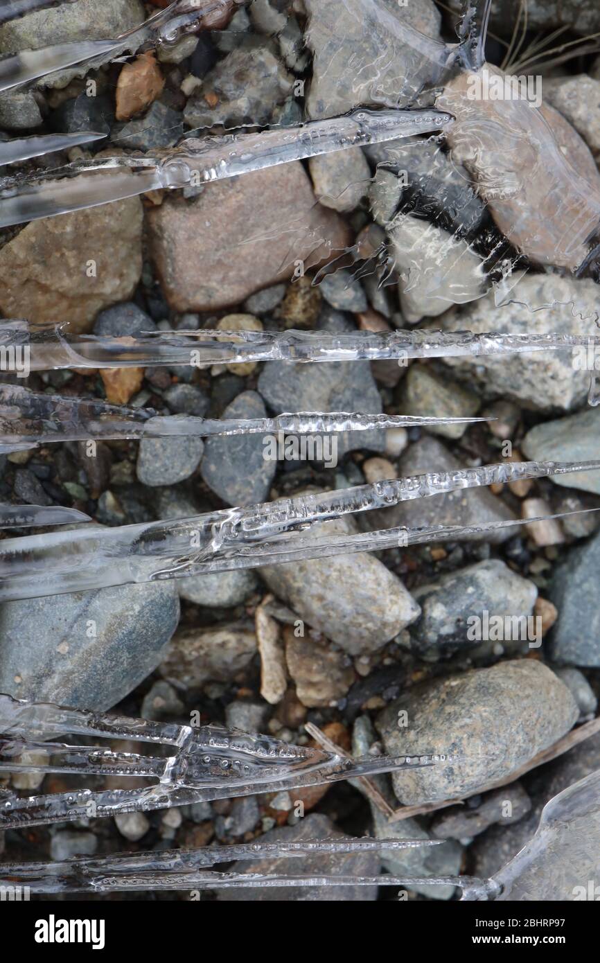 Gros plan d'aiguilles de glace semi-transparentes avec différents motifs et textures, autour de roches colorées dans un petit ruisseau gelé. Banque D'Images