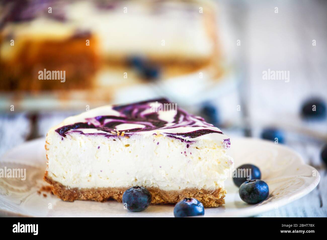 Une tranche de délicieux cheesecake en marbre de bleuets maison avec croûte de biscuits graham et bleuets frais. Mise au point sélective avec profondeur extrême peu profonde Banque D'Images