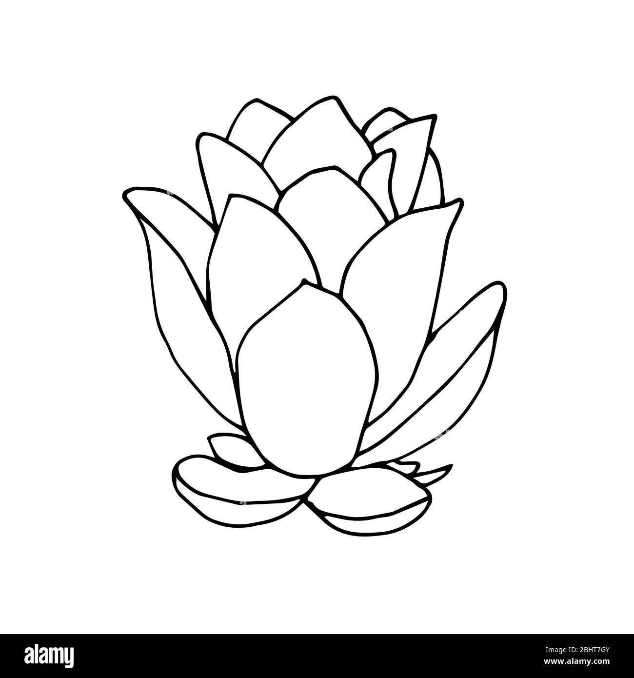 Illustration de fleurs de Lotus noir et blanc. Illustration vectorielle isolée sur fond blanc. Banque D'Images