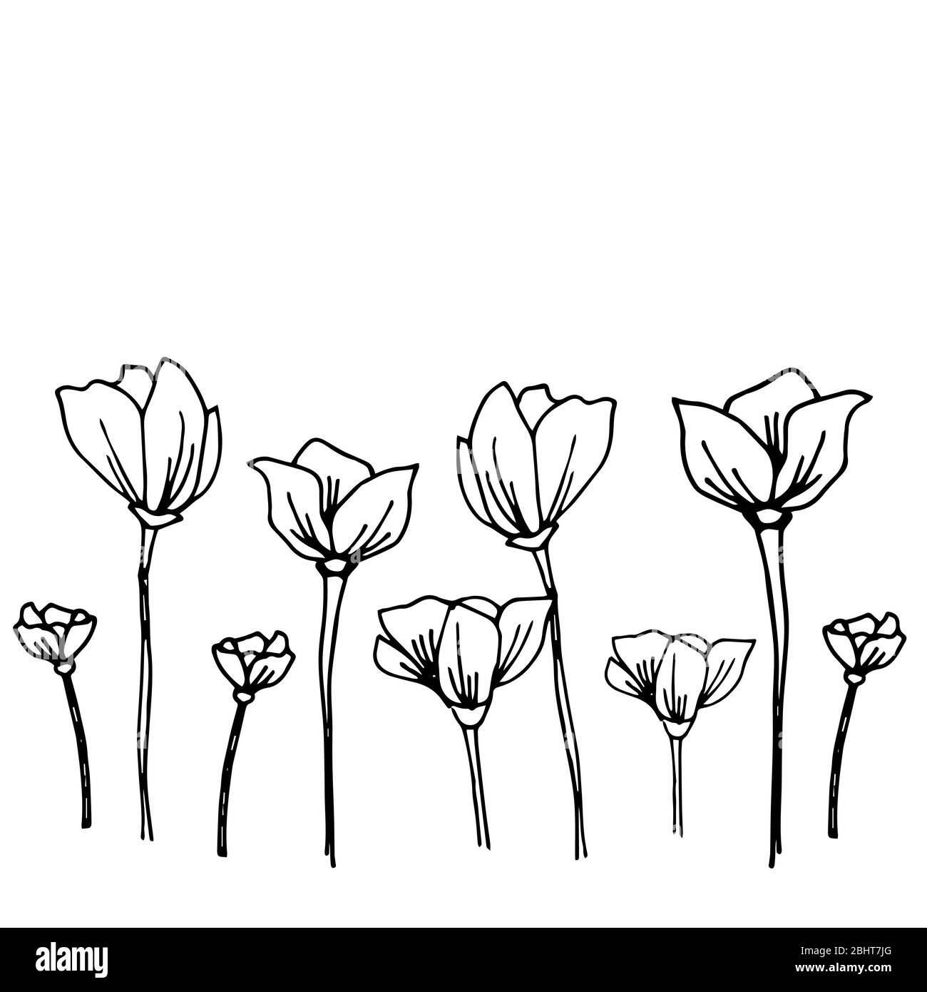 Éléments vectoriels vintage esquissés à la main. Sauvage et libre. Illustration vectorielle isolée sur fond blanc. Parfait pour les invitations, les cartes de vœux, les devis Banque D'Images