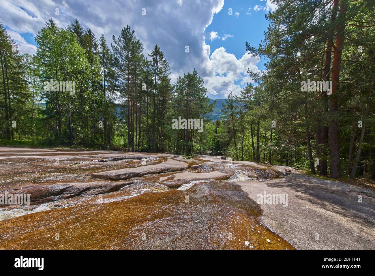 Rivière avec les arbres autour Banque D'Images