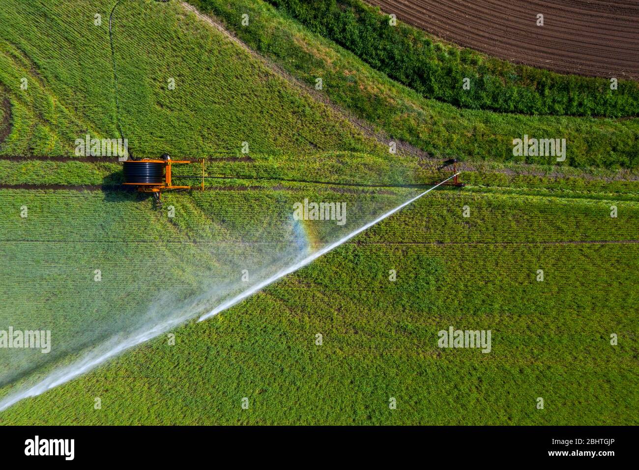 Irrigation d'un champ de blé sur le Bas-Rhin, avec une arroseur mobile, arroseur de grande surface, Allemagne Banque D'Images
