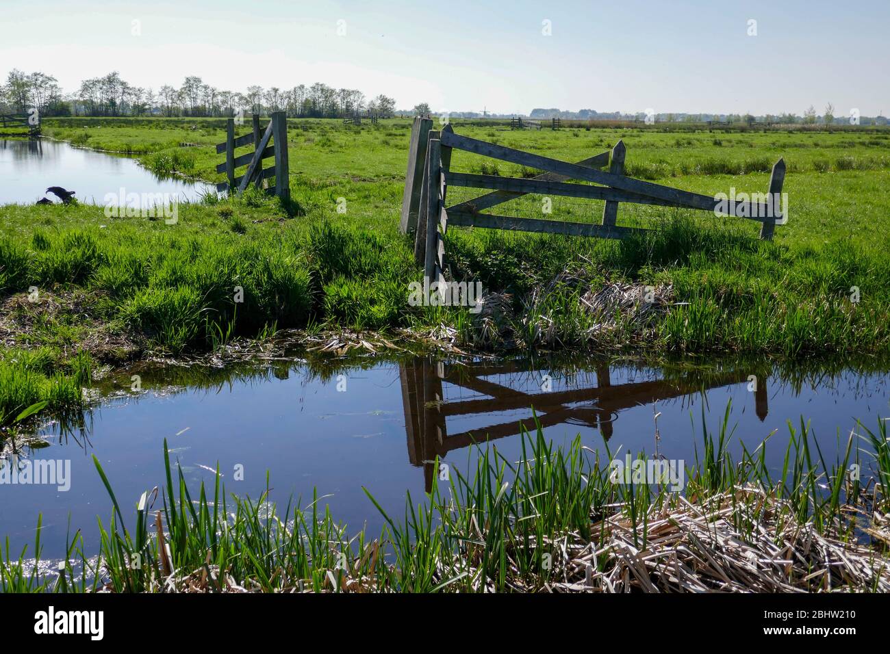 Paysage riche en eau et terres agricoles historiques 'het groene hart' à l'ouest des Pays-Bas Banque D'Images