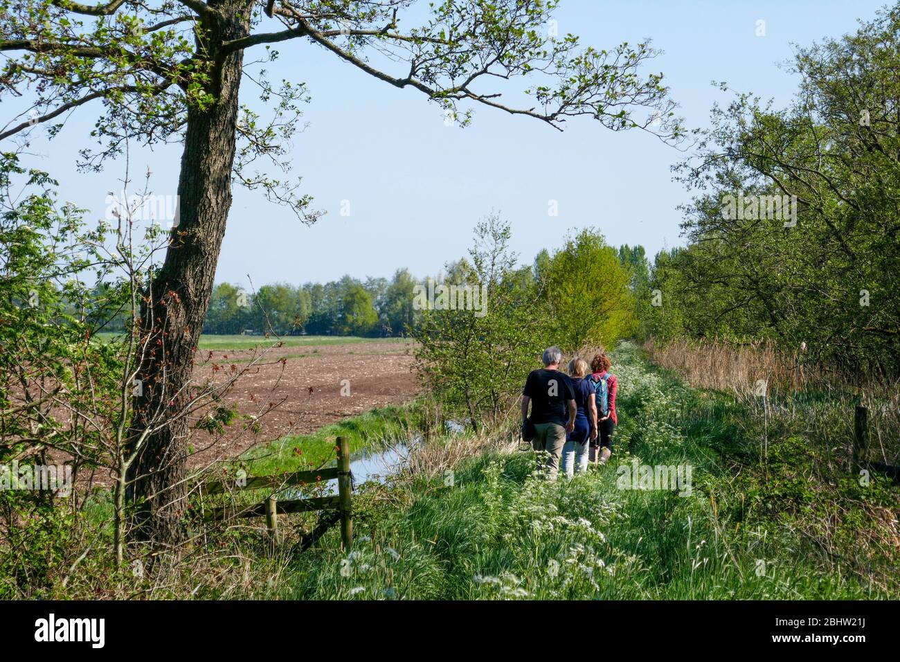 Les gens marchant sur un petit chemin à travers la zone rurale 'het groene hart' dans l'ouest de la Hollande Banque D'Images