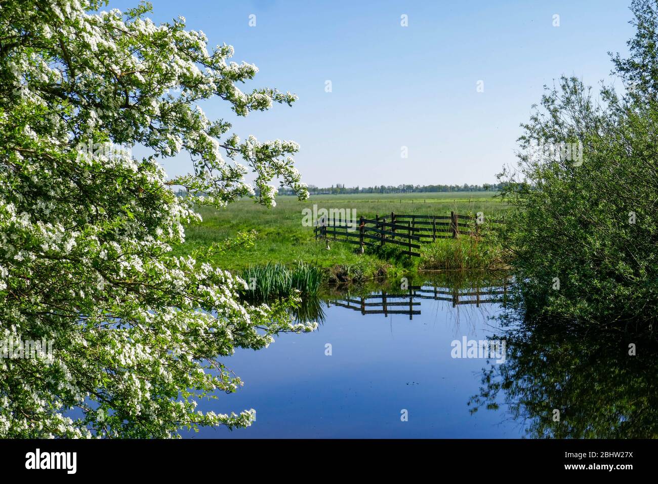 Paysage riche en eau et terres agricoles historiques 'het groene hart' à l'ouest des Pays-Bas Banque D'Images