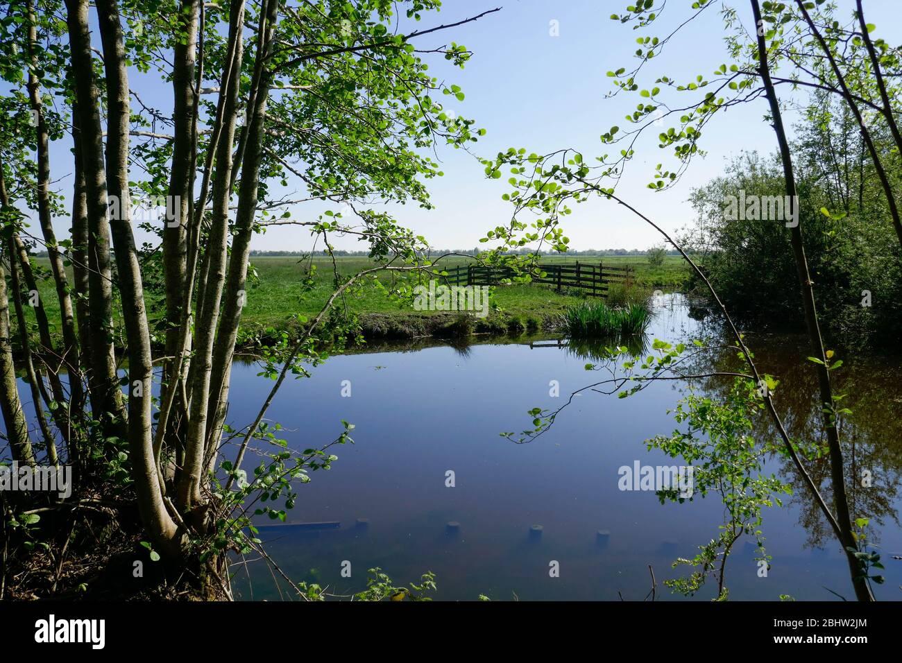 Paysage riche en eau et terres agricoles historiques 'het groene hart' à l'ouest des Pays-Bas Banque D'Images