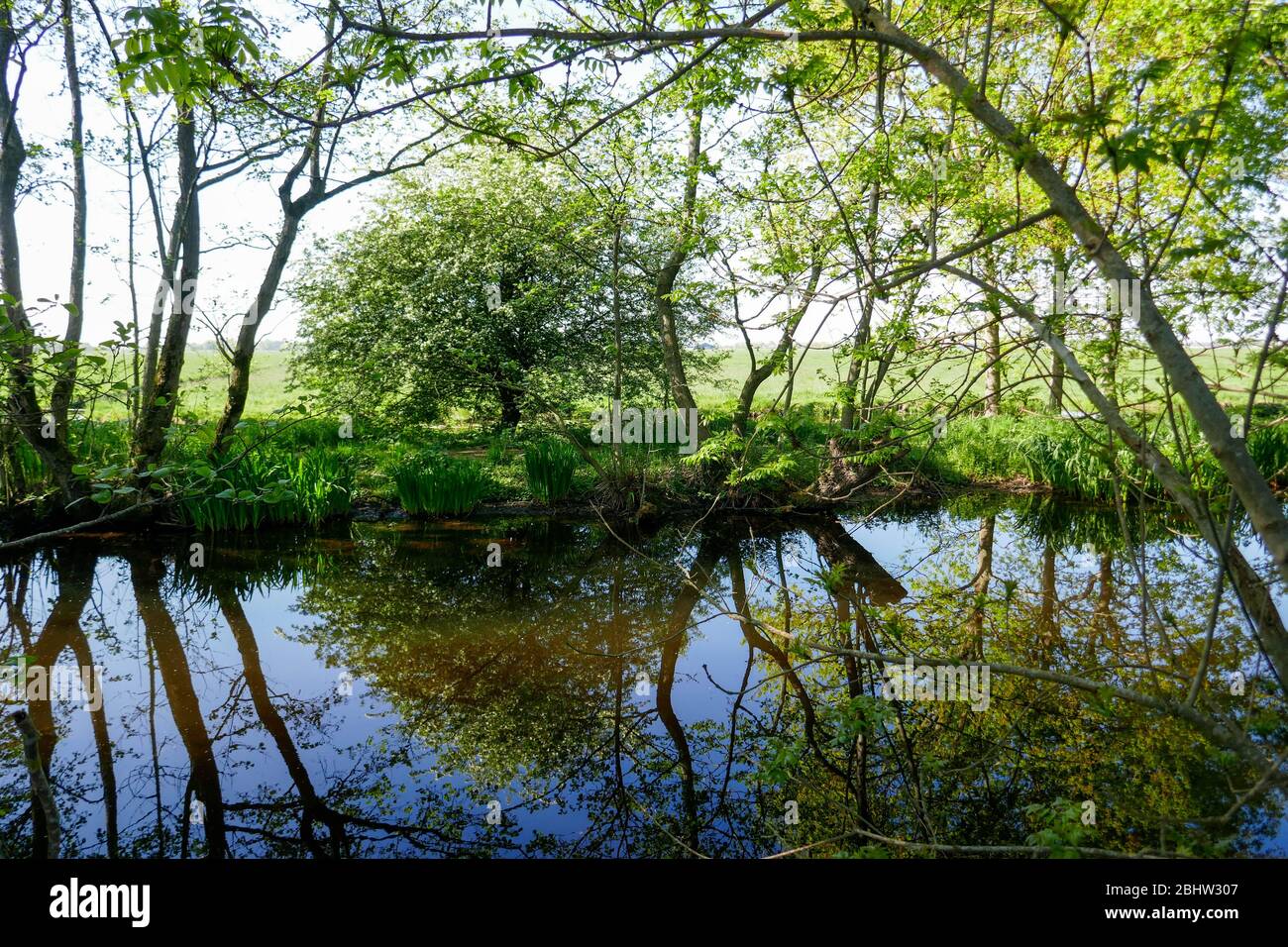 Paysage riche en eau et terres agricoles historiques 'het groene hart' à l'ouest des Pays-Bas Banque D'Images