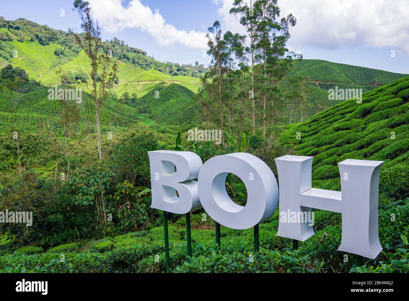 Cameron, Malaisie - 08 février 2019 : la BOH Tea Company a été fondée en 1929 et est l'une des célèbres marques de thé en Malaisie. L'un des points forts de la vue panoramique Banque D'Images