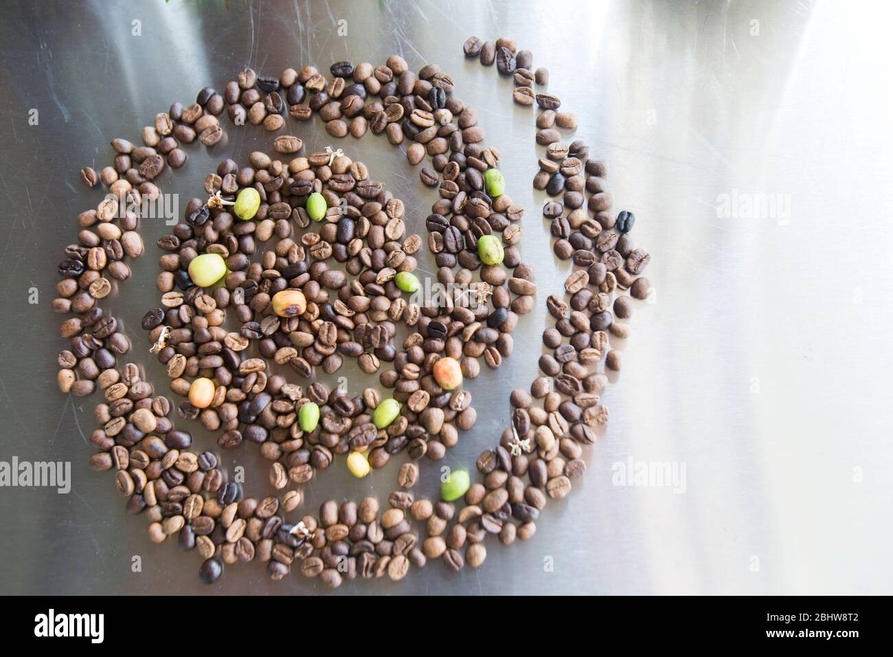 Grains de café torréfiés et crus sur une table en bois Banque D'Images