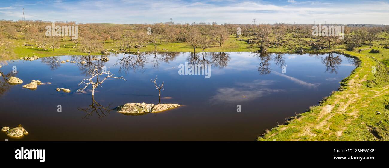 Vue aérienne sur un lagon dans la campagne espagnole. Vue sur le ciel bleu et les reflets d'arbres nus dans l'eau par une journée ensoleillée. Grandes terres agricoles Banque D'Images