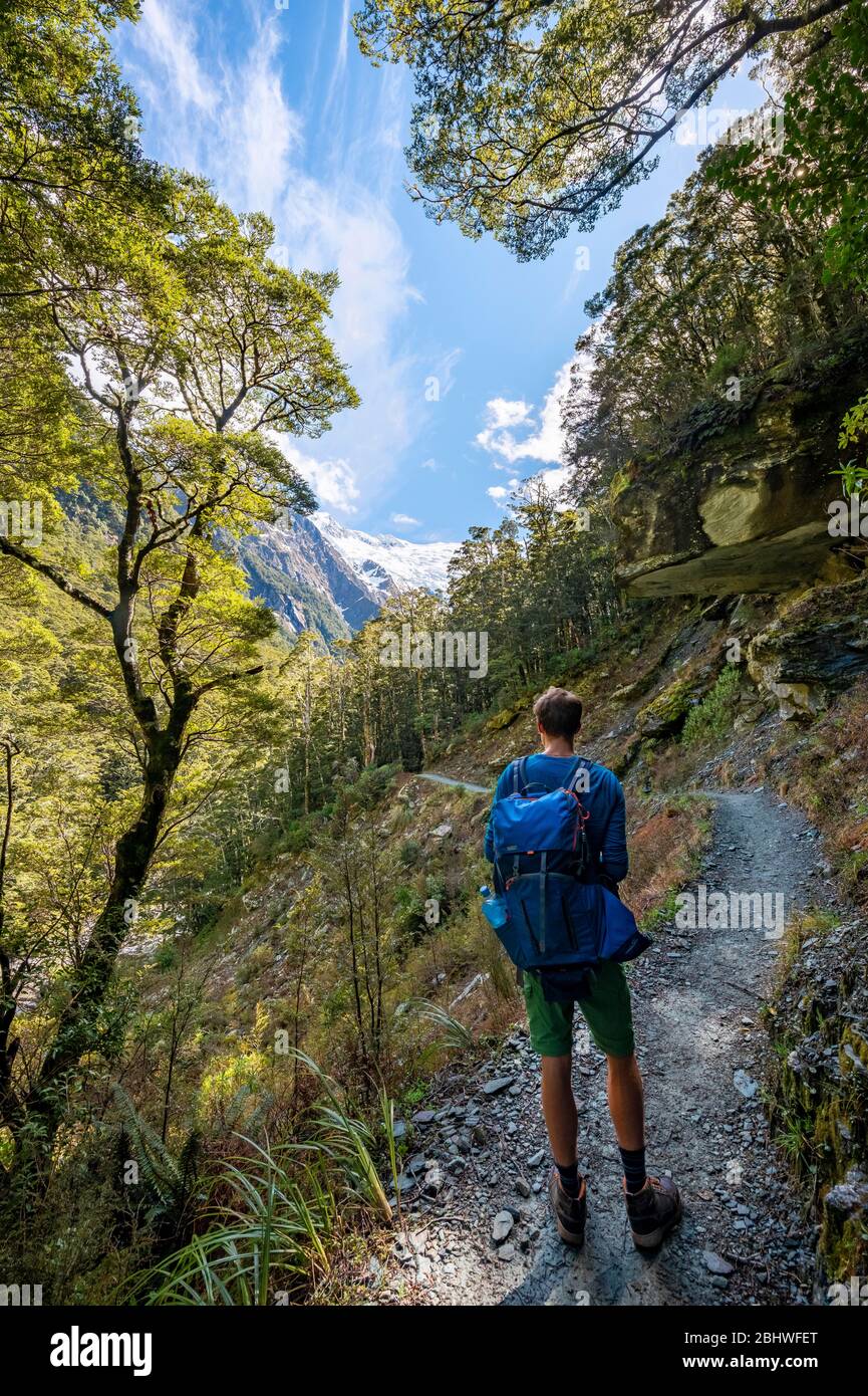 Randonnée sur le sentier jusqu'au glacier Rob Roy, parc national du Mont Aspiring, Otago, île du Sud, Nouvelle-Zélande Banque D'Images