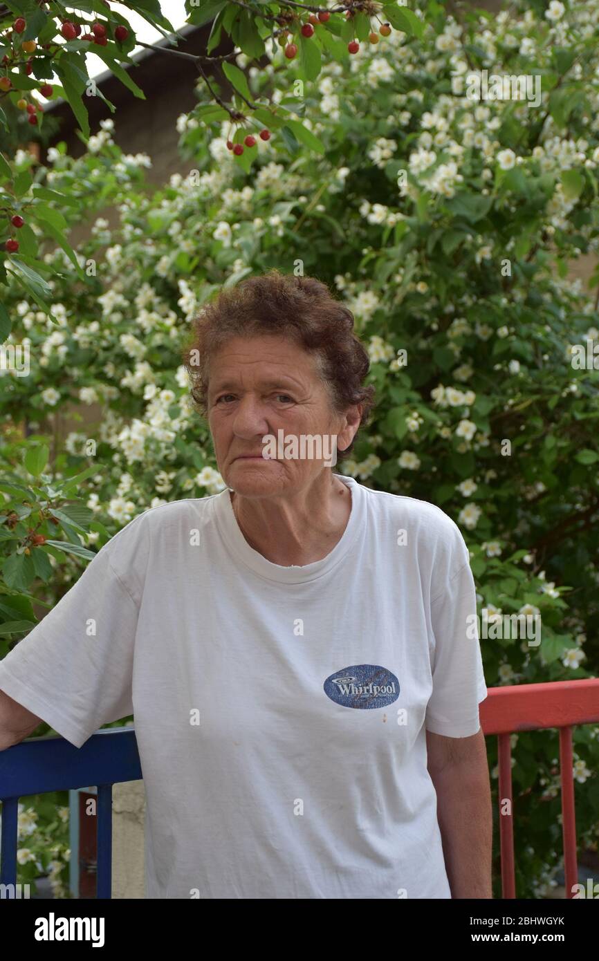 Une femme plus âgée se tient à côté d'une clôture en métal rouge-bleu. Au-dessus de sa tête sont des fruits de cerise Banque D'Images