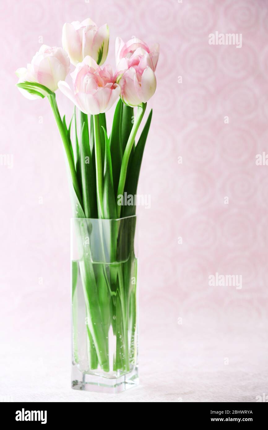 Belles fleurs printanières sur fond rose Banque D'Images