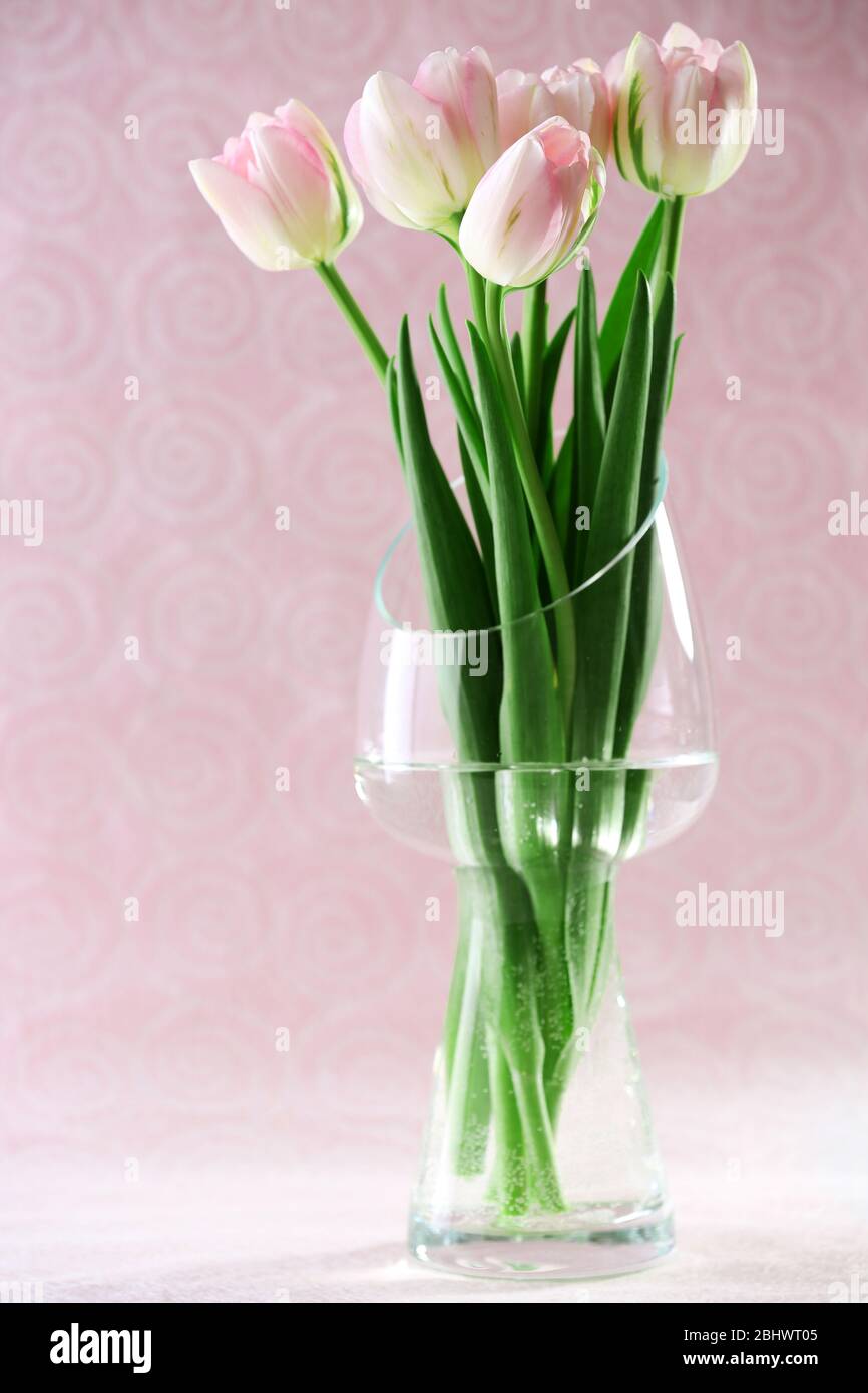 Belles fleurs printanières sur fond rose Banque D'Images