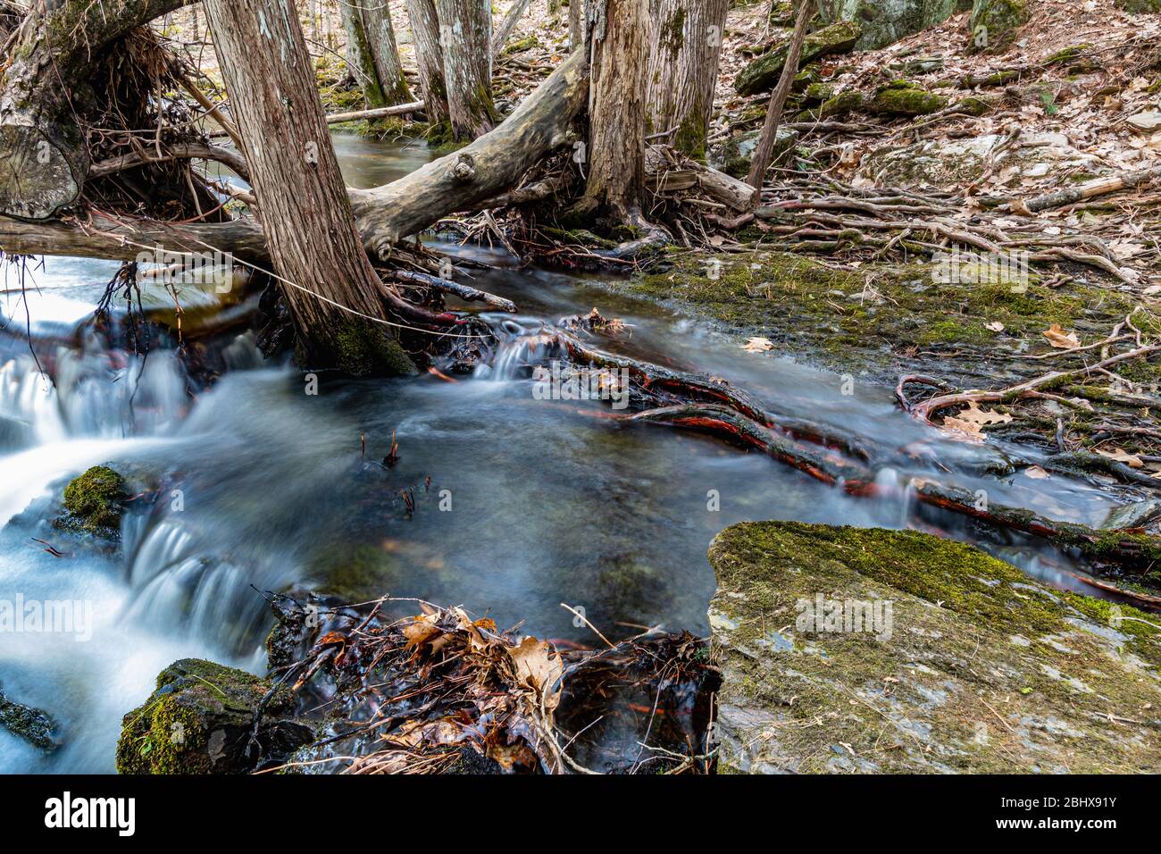 Zone de conservation des chutes Cordova Belmont Methuen Havelock Ontario Canada in été Banque D'Images