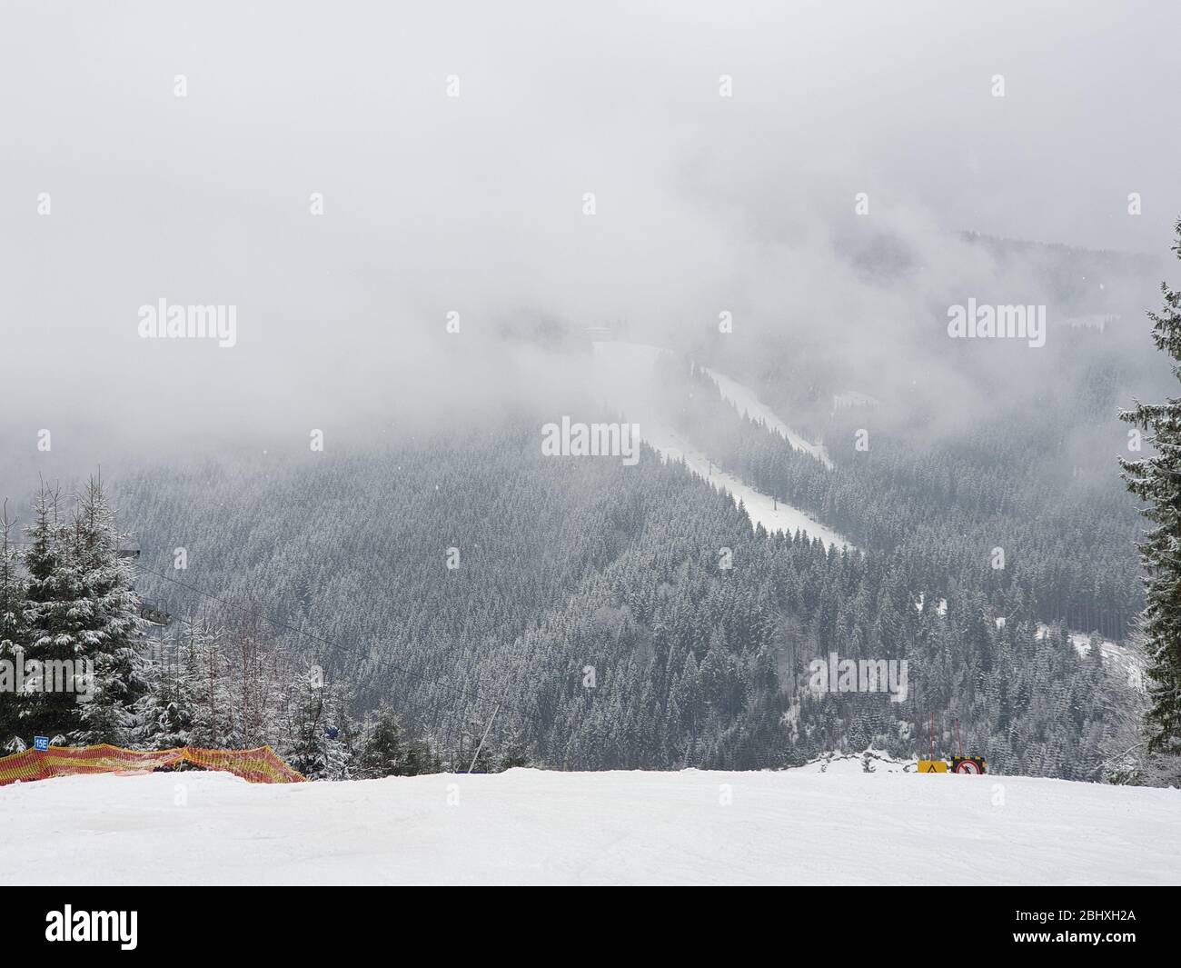 Arbres enneigés dans les montagnes avec nuages autour d'eux Banque D'Images