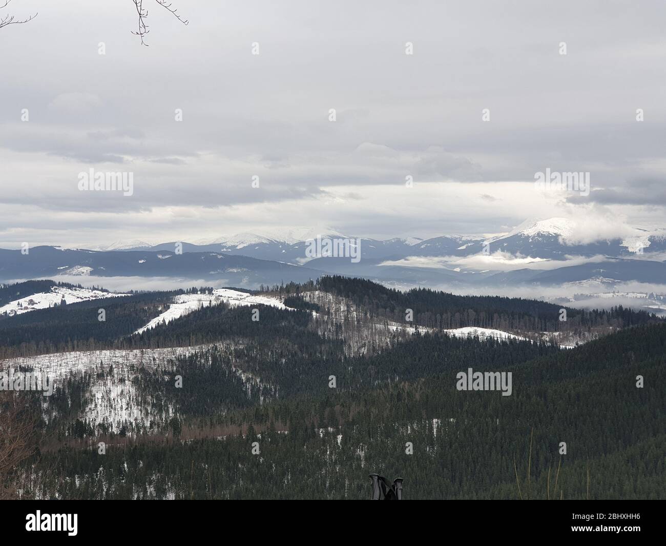 Montagnes enneigées avec arbres en hiver Banque D'Images