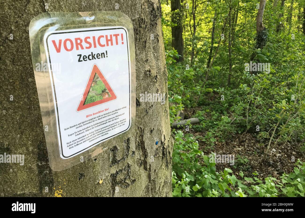 Hanovre, Allemagne. 21 avril 2020. Un signe avertit des tiques dans une forêt. La prudence est recommandée dans tout l'État, selon le Bureau de santé de l'État de Basse-Saxe. Après l'hiver doux, "une augmentation de la population de tiques cette année est possible en principe". En Basse-Saxe, seul le district d'Emsland est encore classé comme zone à risque pour la méningoencéphalite d'été précoce (FSME). (À dpa 'pas de nouvelles zones de risque de tique en Basse-Saxe') crédit: Julian Stratenschulte/dpa/Alay Live News Banque D'Images