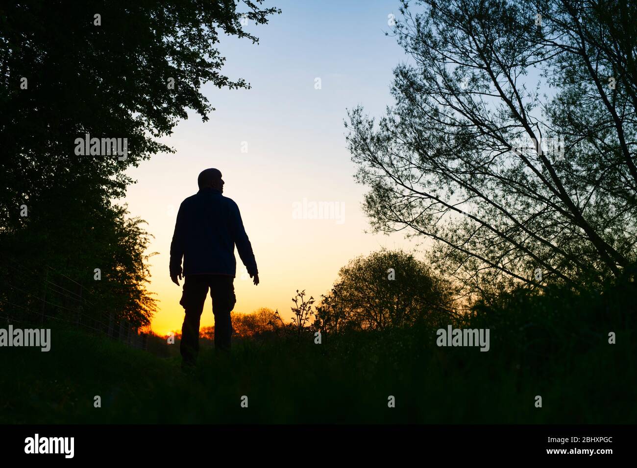 Homme marchant le long d'un chemin de remorquage près du canal d'oxford au lever du soleil. Oxfordshire, Angleterre. Silhouette Banque D'Images