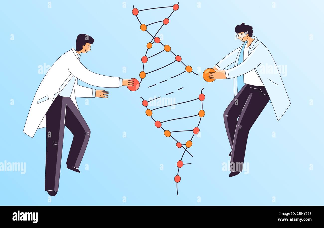 Illustration plate de deux scientifiques Man, caractères faisant le traitement génétique de l'ADN génétique. Homme répare l'ADN en spirale pour la thérapie CRISPR, concept vectoriel. Illustration de Vecteur