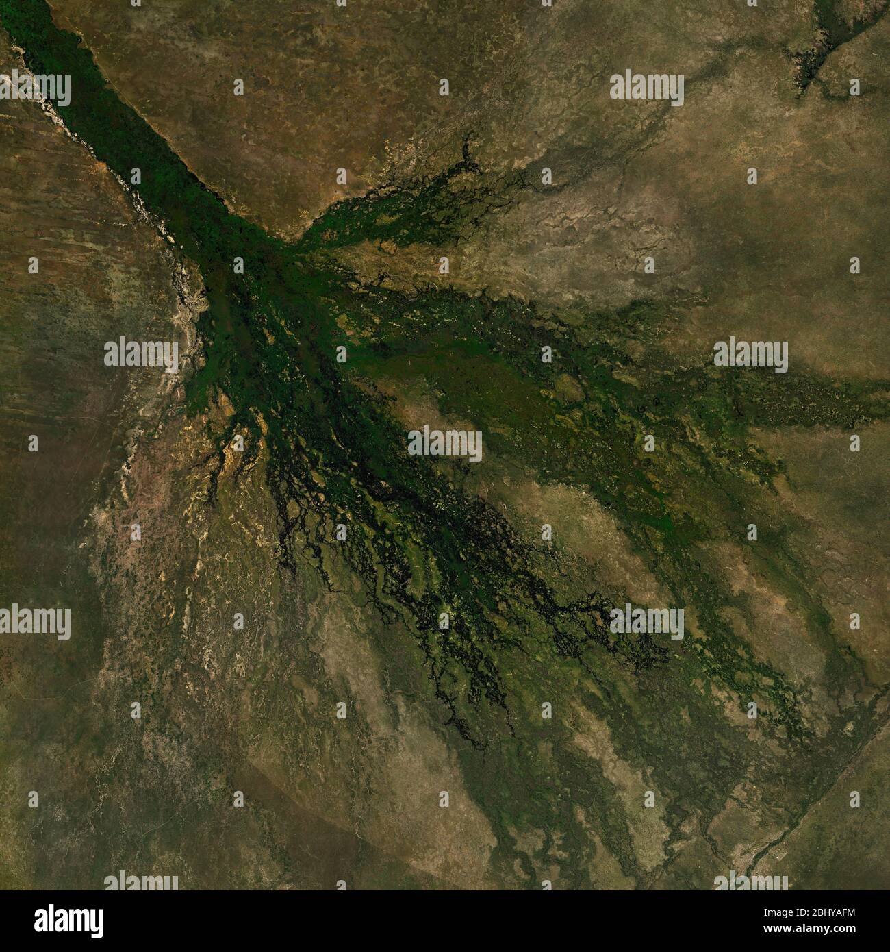Image satellite haute résolution du Delta d'Okavango au Botswana - contient les données sentinelles Copernic modifiées (2020) Banque D'Images