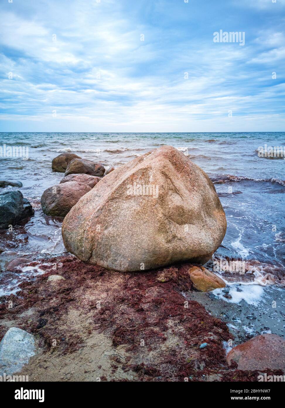 Varech et rochers sur les rives de Moens Klint, Danemark, Europe. Banque D'Images