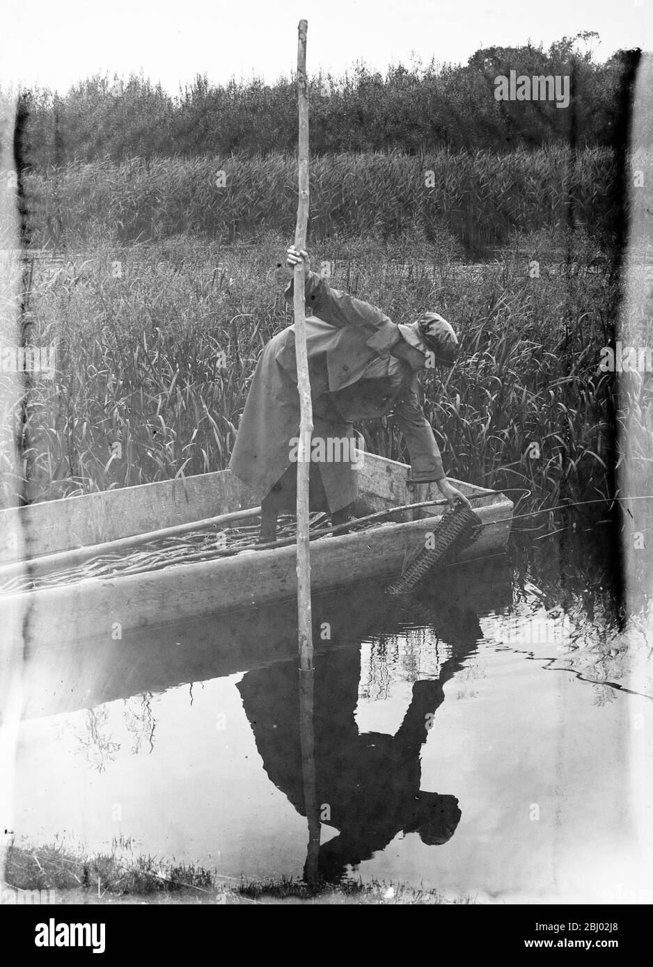 Pêche de l'anguille sur la rivière Hampshire Avon - 18 août 1920 Banque D'Images