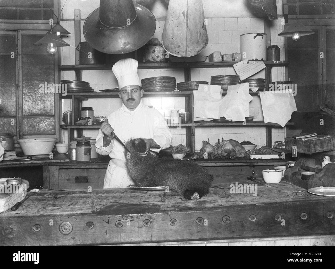 L'ours rôti figure sur le menu de noël de l'hôtel Savoy. Le plat n'a pas été servi dans ce pays depuis l'époque du roi Henry VIII . M Latry , chef Chef Chef de cuisine de Savoie , sculpture . - 27 décembre 1921 Banque D'Images