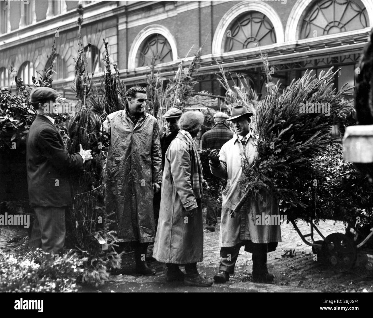 Avec le jour de Noël seulement une semaine du marché Covent Garden est aussi occupé que possible, avec des fruits et des légumes entrant et sortant encore au marché de Noël. Aussi en demande est houx - en court approvisionnement cette année - et bien sûr des arbres de Noël et d'autres feuilles décoratives. La photographie montre un bon commerce des arbres de Noël et des vacances (pas très berried cette année) dans Covent Garden car il change rapidement les mains - 18 décembre 1959 - - - - Banque D'Images