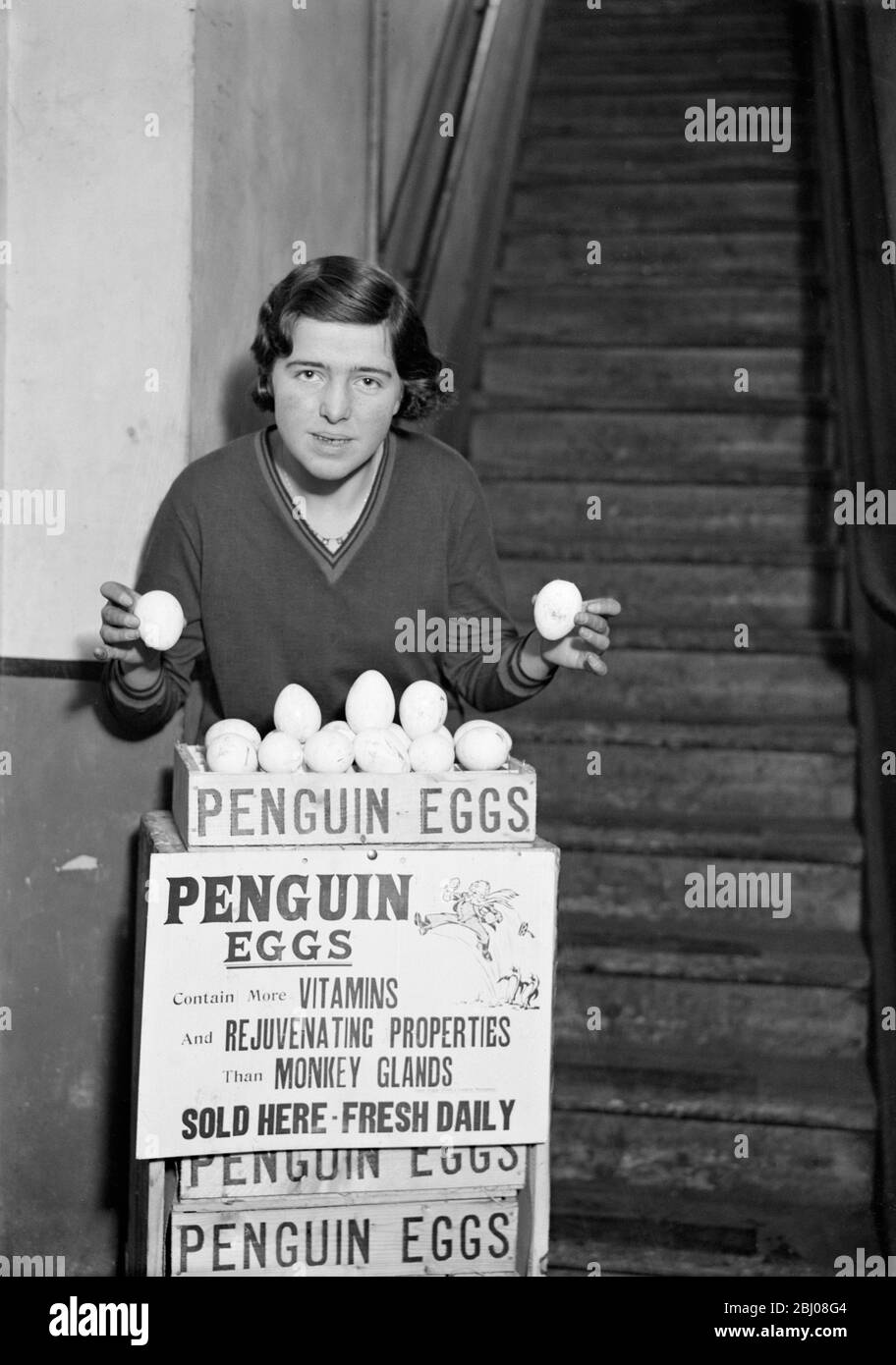 Partie de la première expédition de 3300 oeufs de pingouins de l'Antarctique reçue par Messers George Tabor Ltd . Ils sont considérés comme une grande délicatesse et dans la saveur ressemblent à des oeufs de Pluvier . En raison de leur taille, ils doivent être cuits pendant au moins 20 minutes - - - 14 avril 1932 - - - - - ils contiennent plus de vitamines et de propriétés rajeunissants que les glandes de singe Banque D'Images