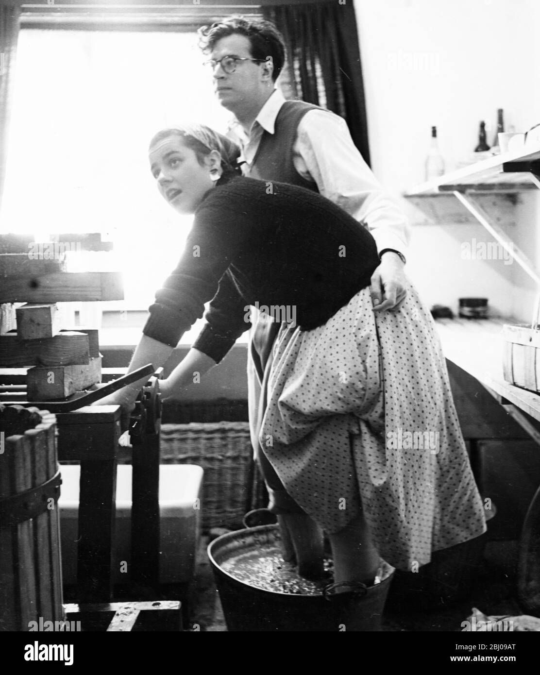 Spectacles: Tramer les raisins de la manière traditionnelle, Hambledon. - c. 1956 Banque D'Images