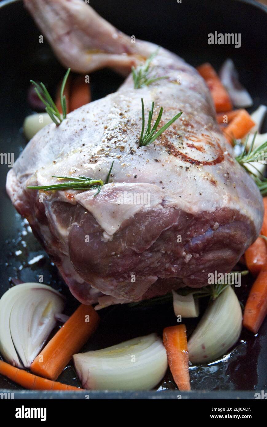 Jambe d'agneau prête à mettre au four avec des oignons, du romarin, des carottes, du poivre noir, du sel grossier, de l'huile d'olive et un tiret de vin rouge. - Banque D'Images