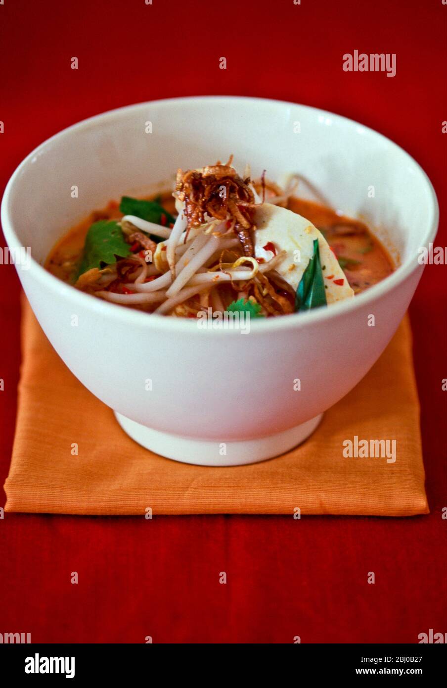 Soupe de poulet thaï chaude et épicée, avec coriandre et beansprouts dans un bol blanc - Banque D'Images