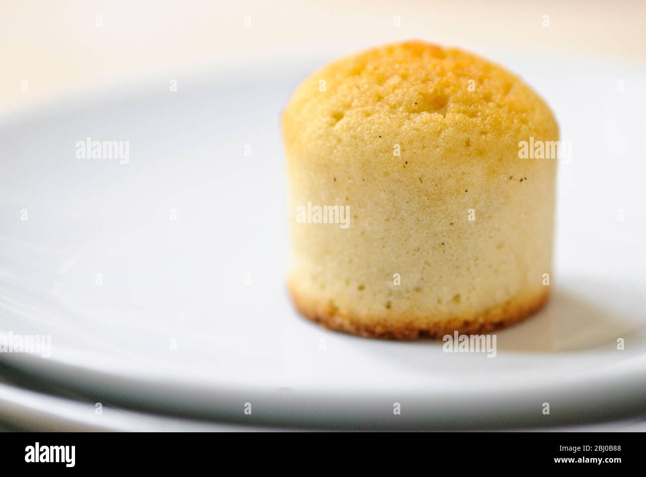 Muffin fait à la recette portugaise de Bolo de Arroz, fait avec farine de riz et farine sans gluten - Banque D'Images