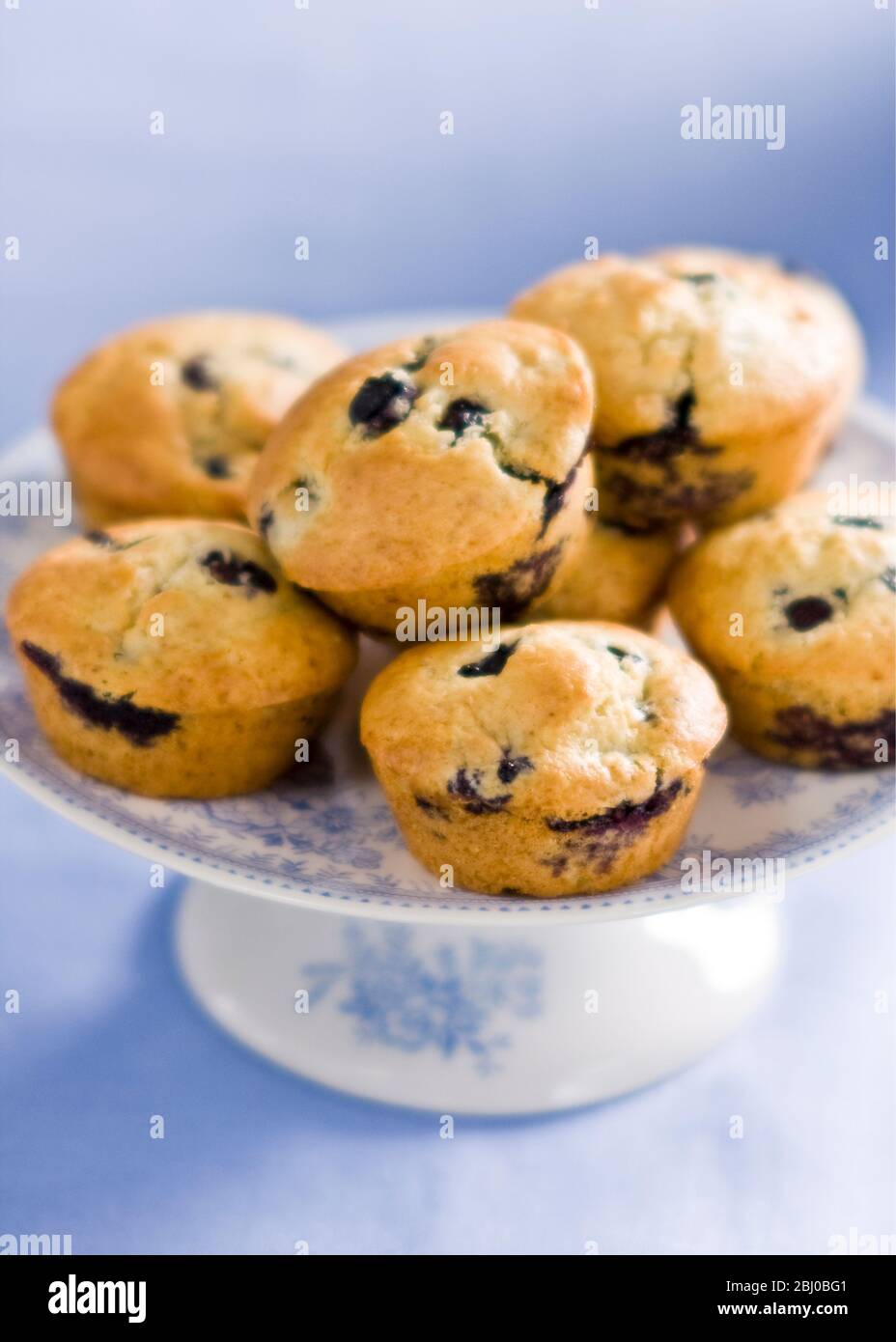 Une pile de muffins aux bleuets sur la chine se tiennent sur fond bleu - Banque D'Images