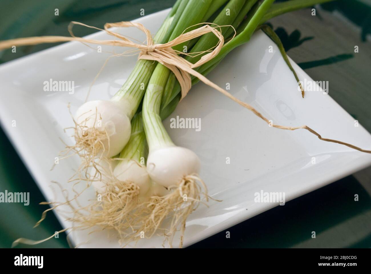 Petite broche d'oignons à salade frais sur plaque blanche - Banque D'Images