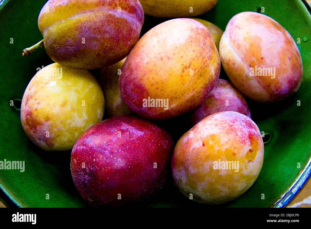 Bol de poterie verte de prunes Victoria fraîchement cueillées - Banque D'Images