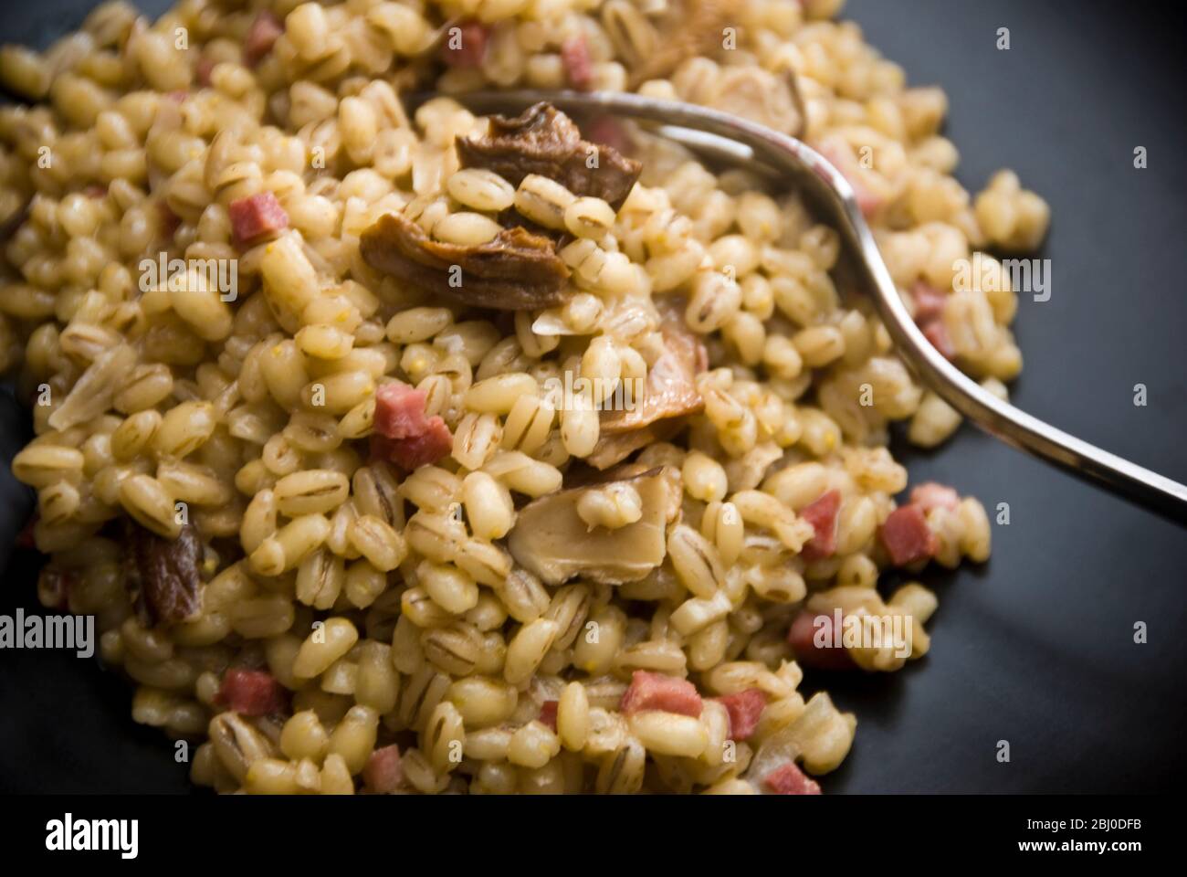 Risotto à l'orge composé de champignons sauvages séchés, de jambon fumé en dés, d'oignons et de bouillon de poulet. - Banque D'Images