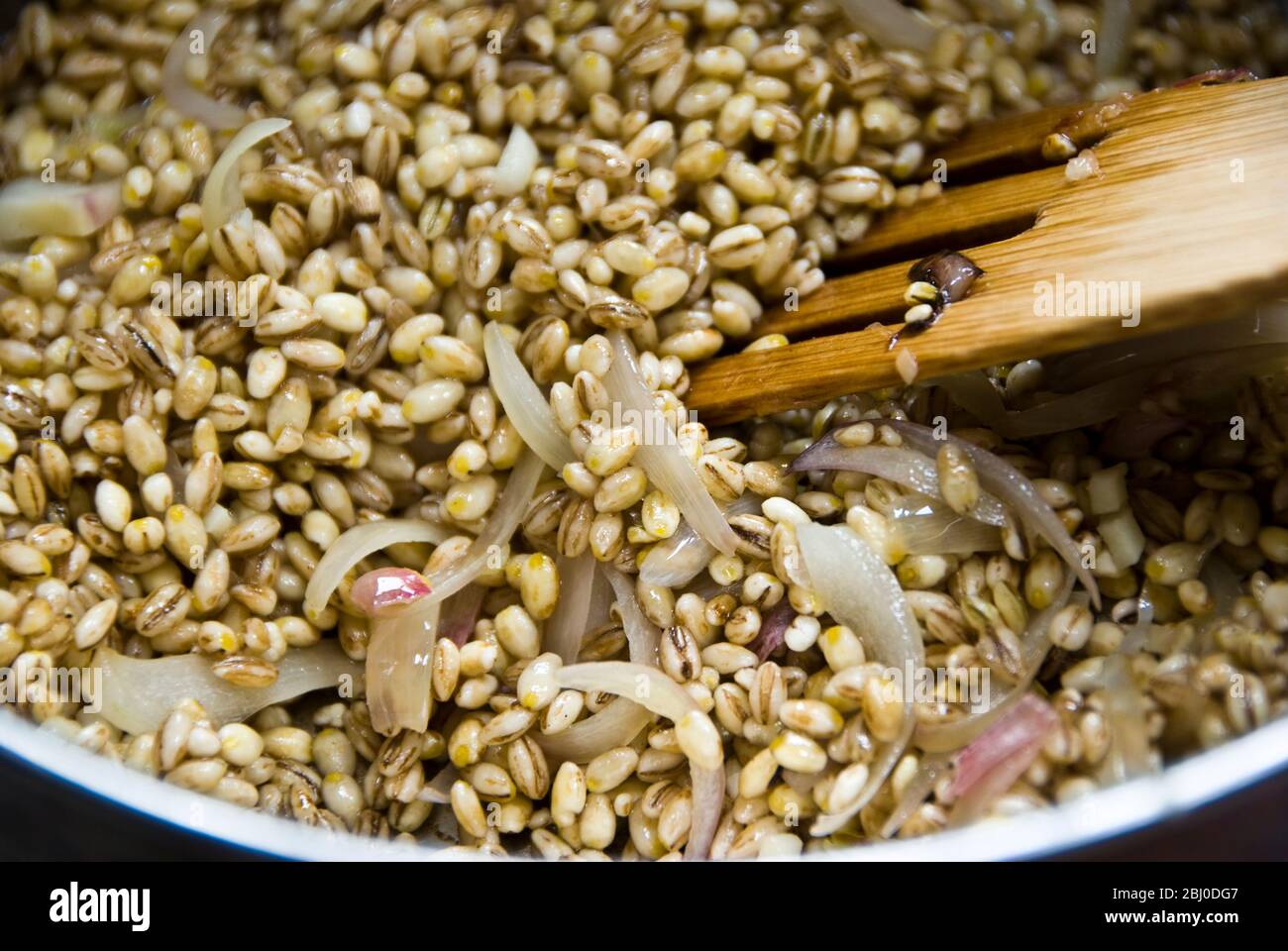 Cuisson des céréales d'orge avec des oignons tranchés dans l'huile d'olive, en commençant à faire du risotto d'orge - Banque D'Images