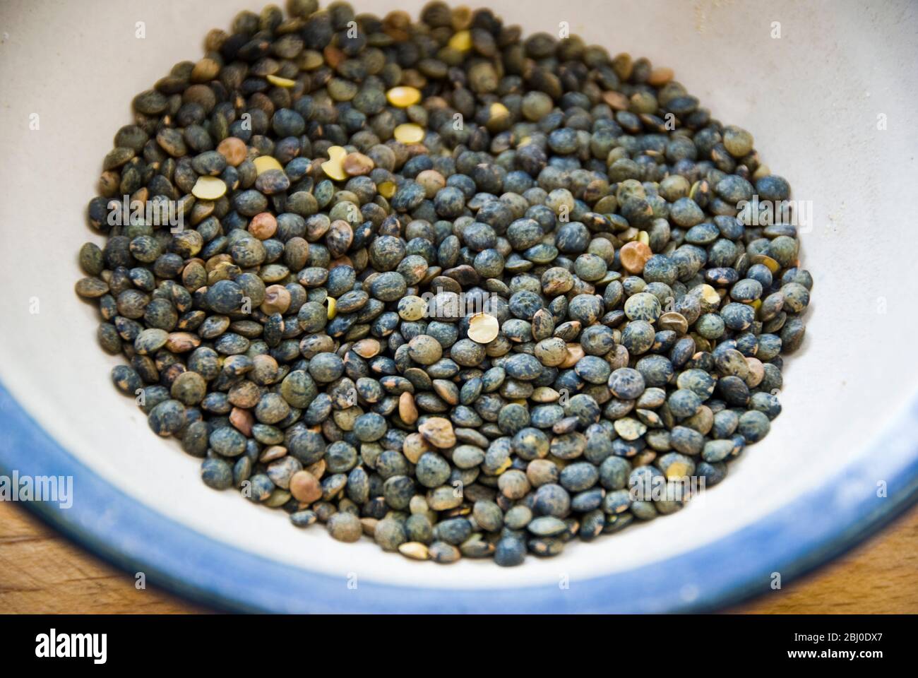 Petite lentille puy bleu-vert dans un bol à bords bleus - Banque D'Images