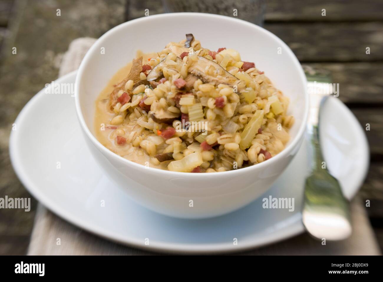 Risotto à l'orge, composé de champignons sauvages séchés, de jambon fumé en dés, d'oignons, de céleri et de bouillon de poulet, servi dans un bol en porcelaine blanche, à l'extérieur - Banque D'Images