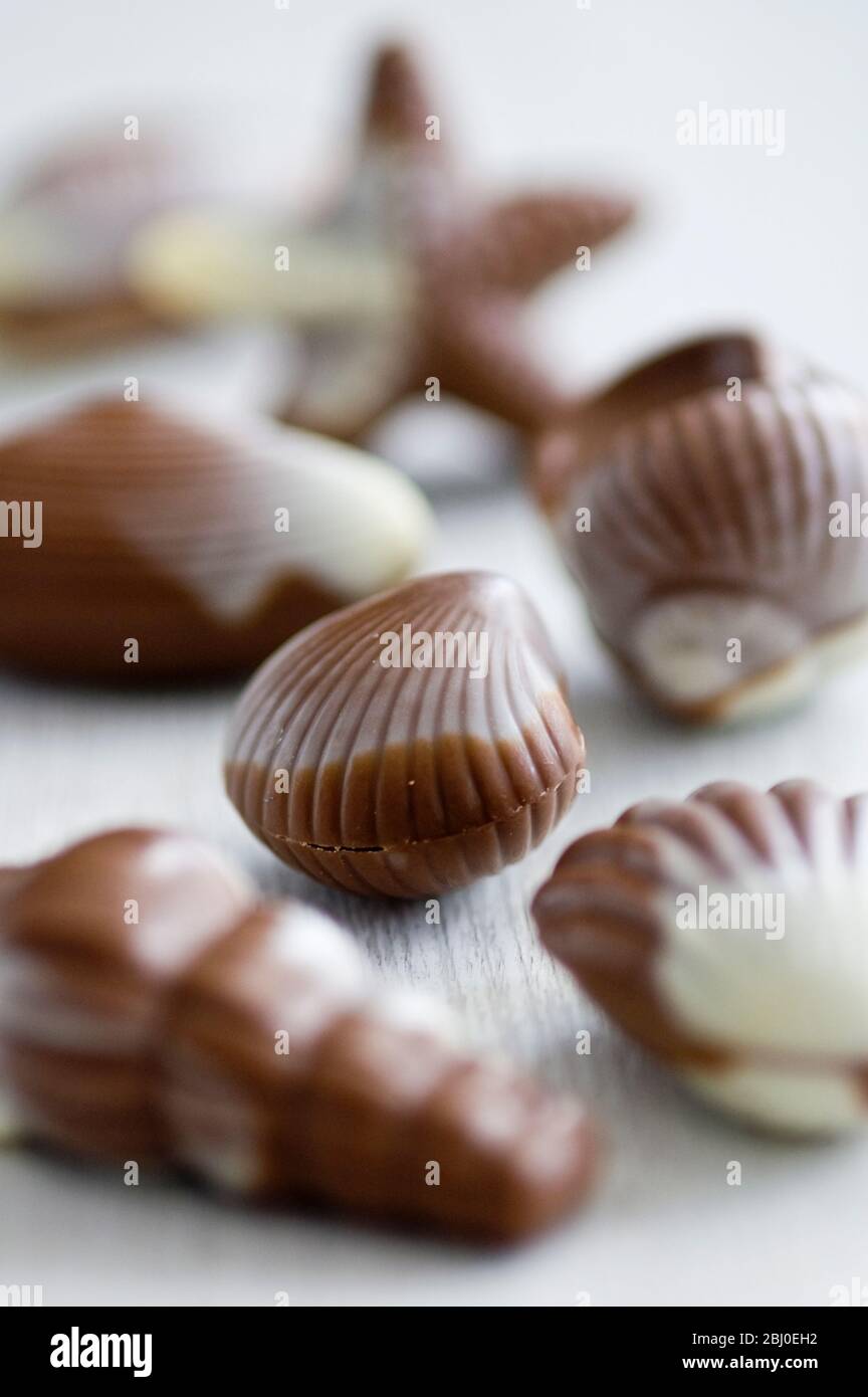 Sélection de chocolats en forme de coquille sur surface blanche. - Banque D'Images