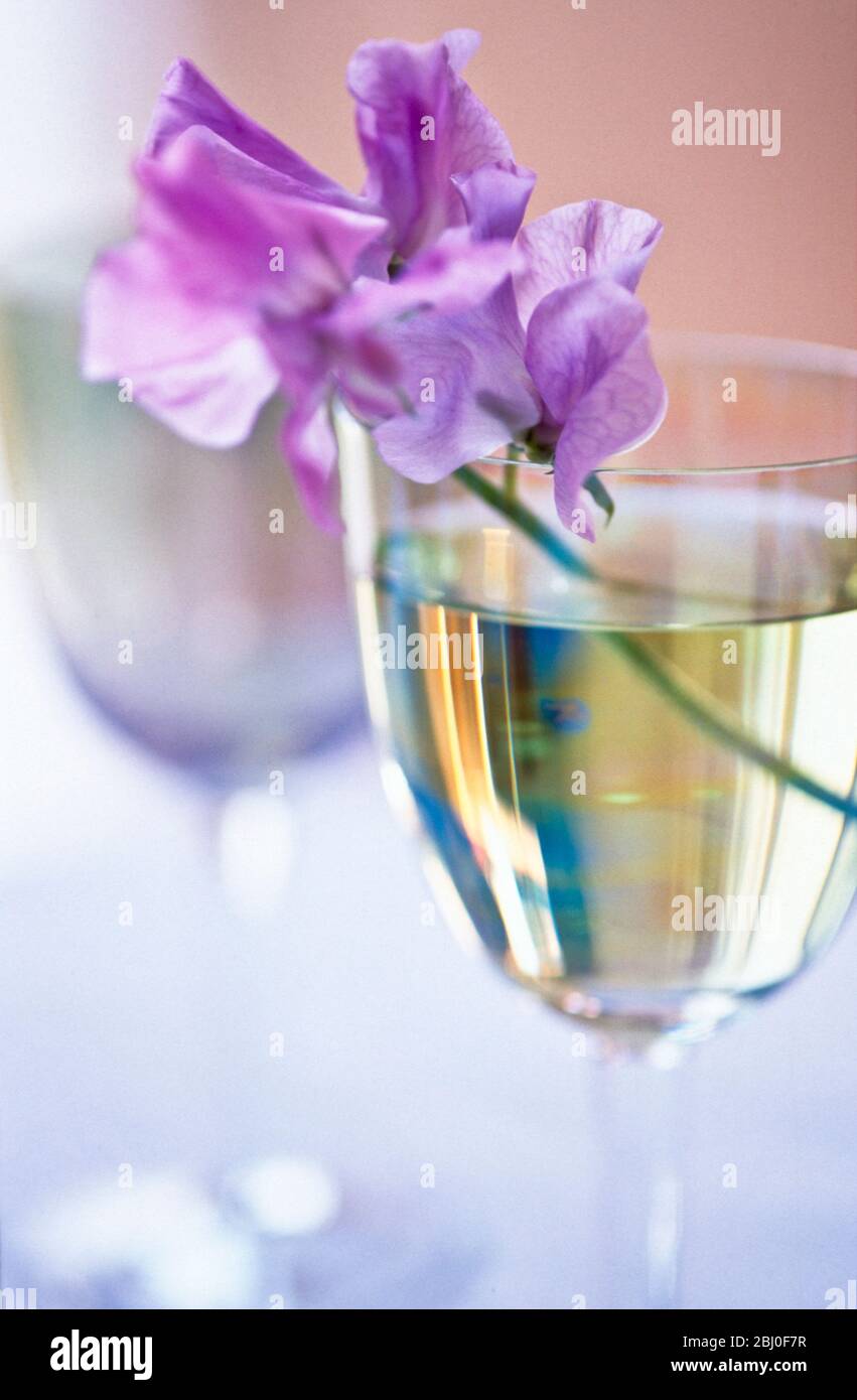Tige de pois mauve doux en verre à vin - Banque D'Images