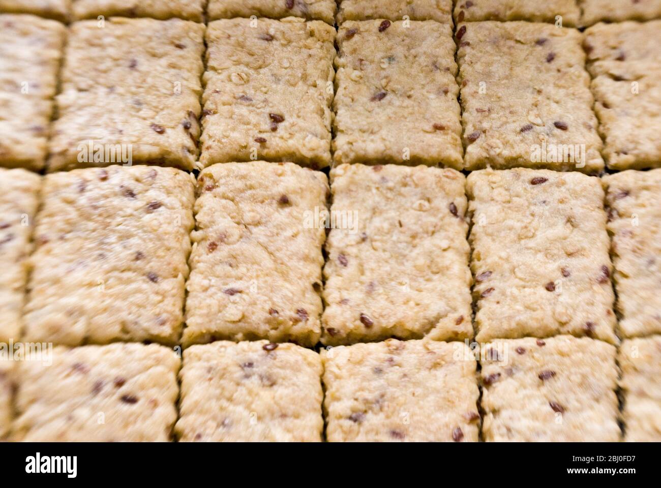 Pâte à biscuits roulée sur la plaque de cuisson coupée avec un couteau à pâtisserie, avant d'entrer dans le four - Banque D'Images