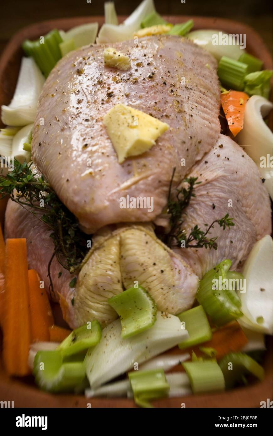 Poulet préparé pour le four dans une brique de poulet en terre cuite avec oignons, céleri, carottes, thym, et un peu de vin blanc - Banque D'Images Poulet préparé pour le four dans une brique de poulet en terre cuite avec oignons, céleri, carottes, thym, et un peu de vin blanc - Banque D'Images
