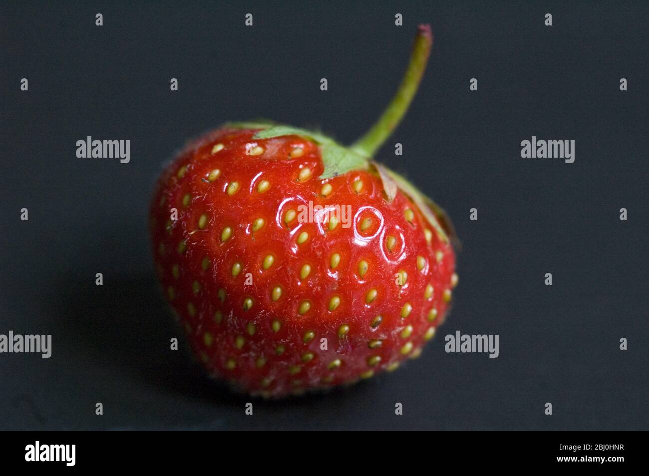 Fraise simple sur une plaque noire - Banque D'Images