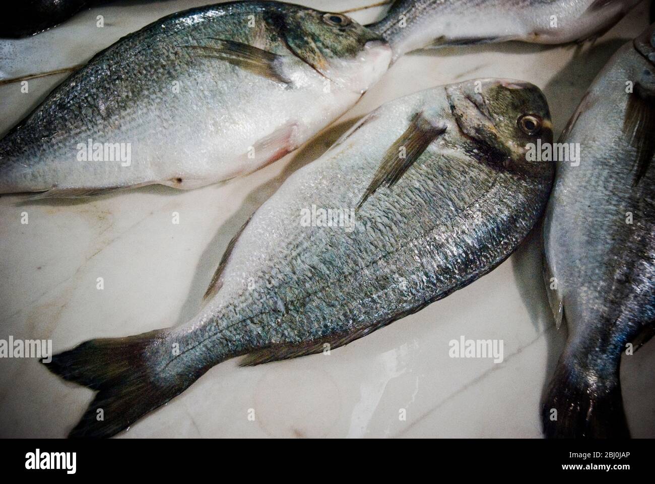 Bream frais sur une dalle de comptoir de poissonnette sur le marché couvert, Limassol, Chypre - Banque D'Images