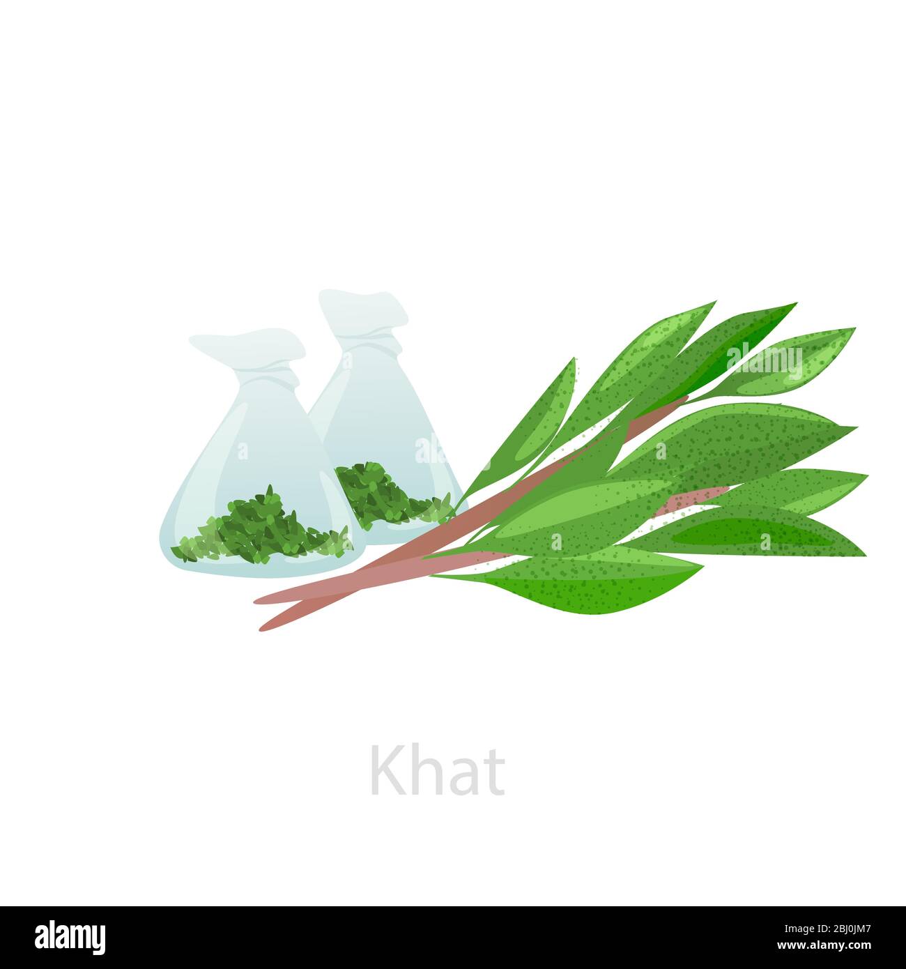 Faisceaux de feuilles de khat avec matières premières dans des flacons. Le concept de Catha edulis Illustration de Vecteur