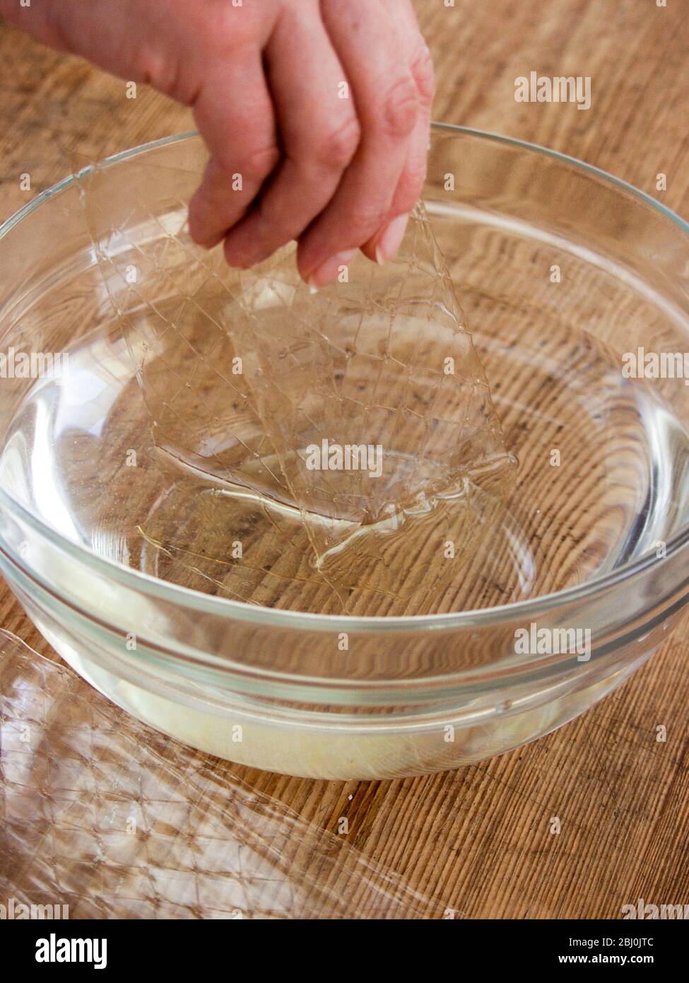 Mettre des feuilles de gélatine de feuilles dans un bol d'eau pour les ramollir. - Banque D'Images